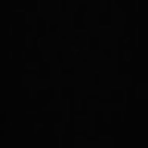 Meet your Posher, Rose